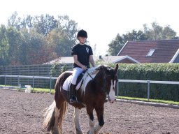 IMG_7226_web